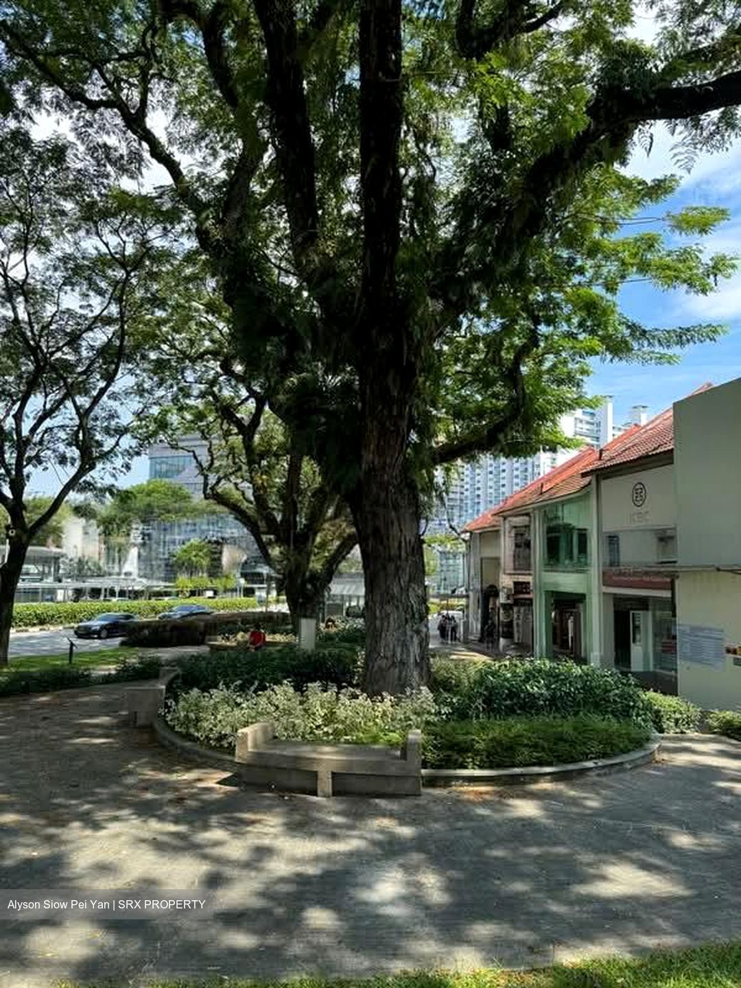 Holland Village MRT (D10), Shop House #545984121